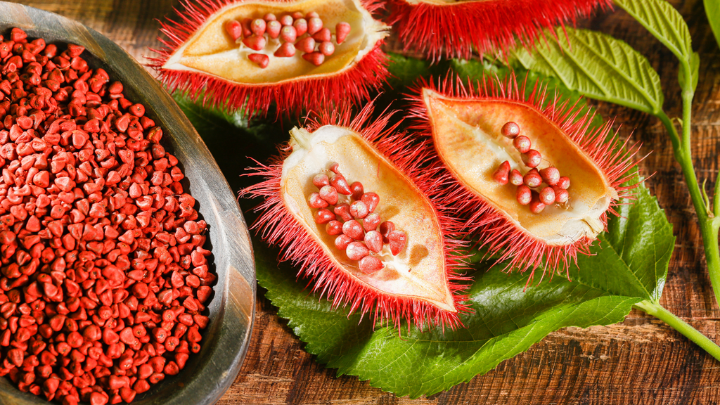 Óleo de Urucum: para que serve e por que ele faz diferença na sua pele?